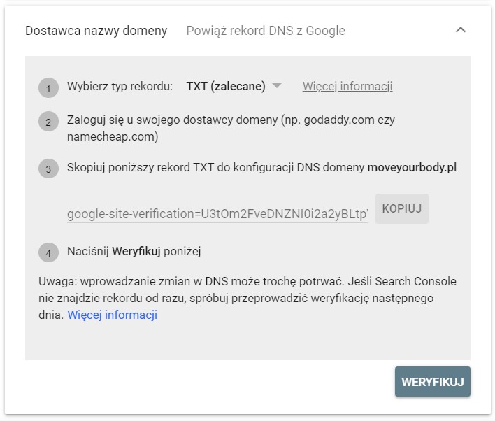 weryfikacja GSC poprzez dostawcę domeny